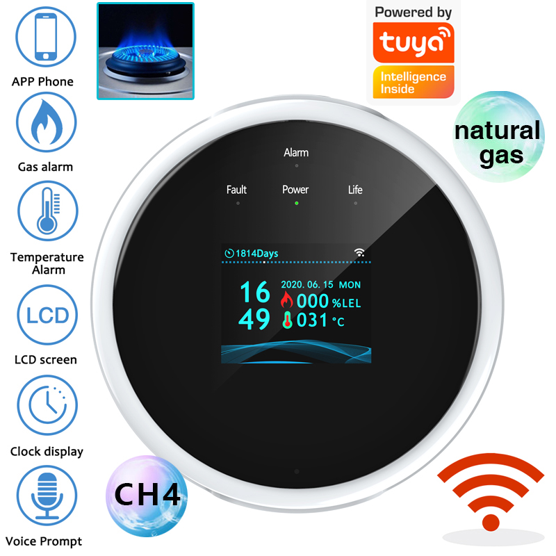 2.4G WiFi Gas Alarm Sensor Com - Smart Home Ecosystems recension och pris
