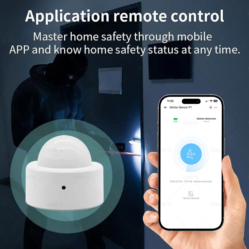 Zigbee Mini PIR Motion Sensor  - Zigbee Gateway recension och pris
